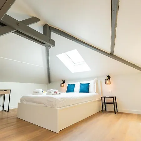 Nid Douillet Sous Les Combles Appartement