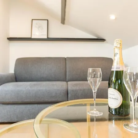 Nid Douillet Sous Les Combles Appartement