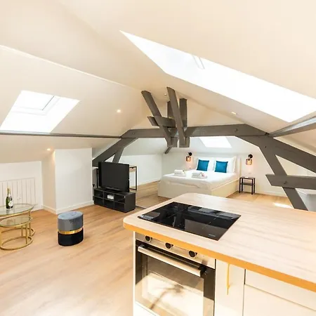 Nid Douillet Sous Les Combles Apartment