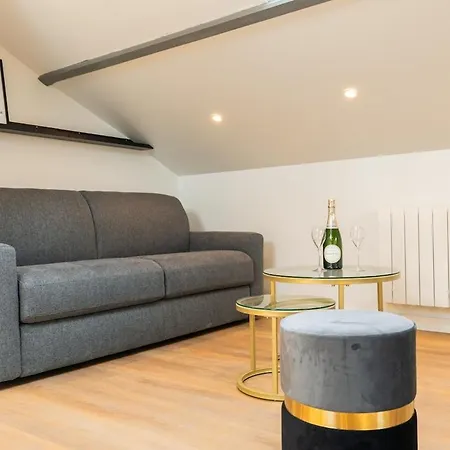 Nid Douillet Sous Les Combles Appartement *